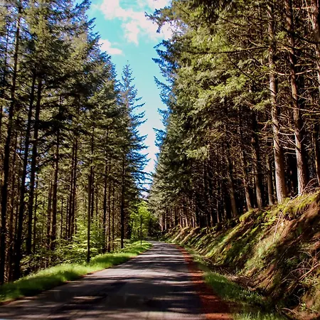 Dom wakacyjny Bienvenue Au Retour Aux Sources