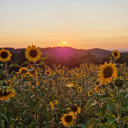 Bienvenue Au Retour Aux Sources Dom wakacyjny *