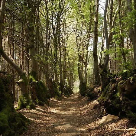 Bienvenue Au Retour Aux Sources Saint-Nicolas-des-Biefs