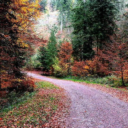 Dom wakacyjny Bienvenue Au Retour Aux Sources Saint-Nicolas-des-Biefs